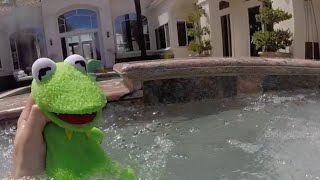 Muppets From Under the Water!