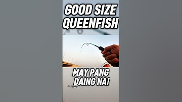 Using Treble Hooks All Day #shortsfeed #fishing #fishingequipment #abudhabifishing  #uaefishing