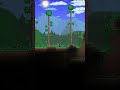 DAY 5 of Trying to Beat Terraria Doing One Thing A Day #terraria#terrariabeginner #terrariaadventure