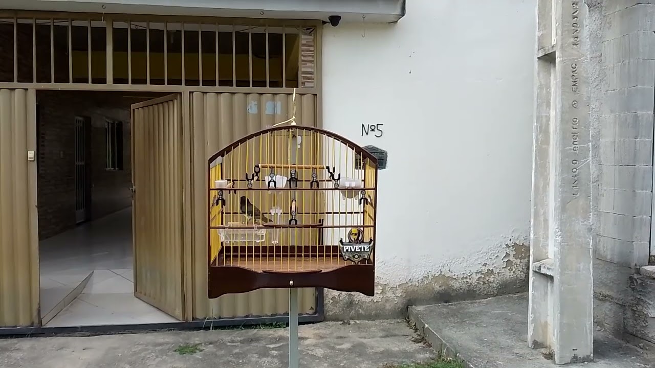 Nova contratação se escrevao no canal