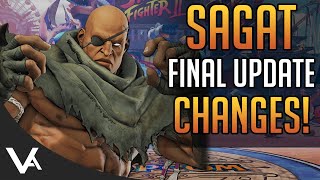 SFV - SAGAT CHANGES EXPLAINED! Final Patch Notes (Definitive Update)