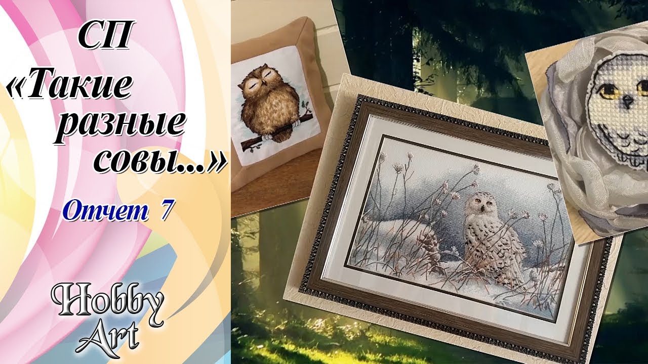СП "Такие разные совы..." / ОБЩИЙ ОТЧЕТ 7