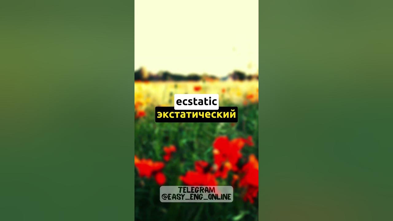 ‍🏫🇬🇧 Переведи с Русского на Английский слова быстрее чем Я (61) 🎈 ...