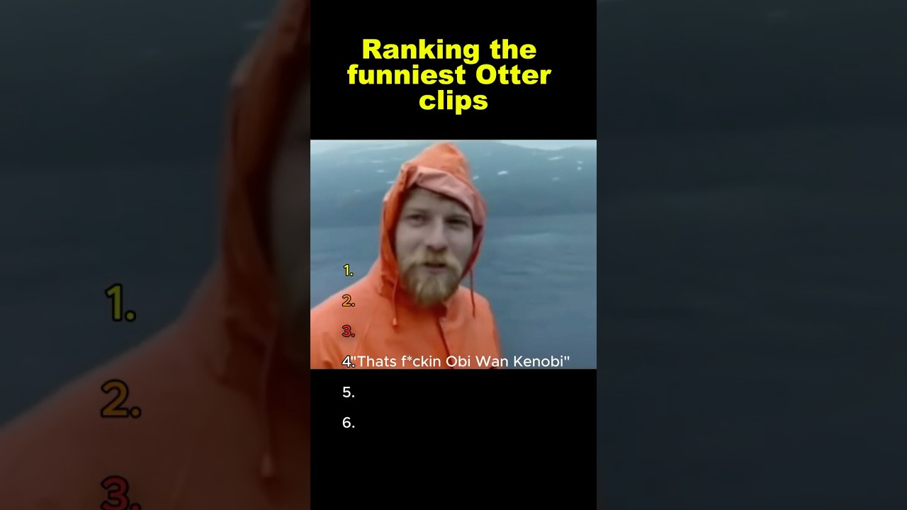 Ranking the funniest otter clips 