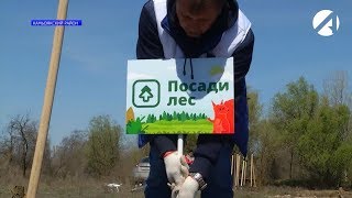 Астраханская область присоединилась к всероссийскому флэшмобу 