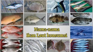 Yuk Kenali nama-nama ikan laut!