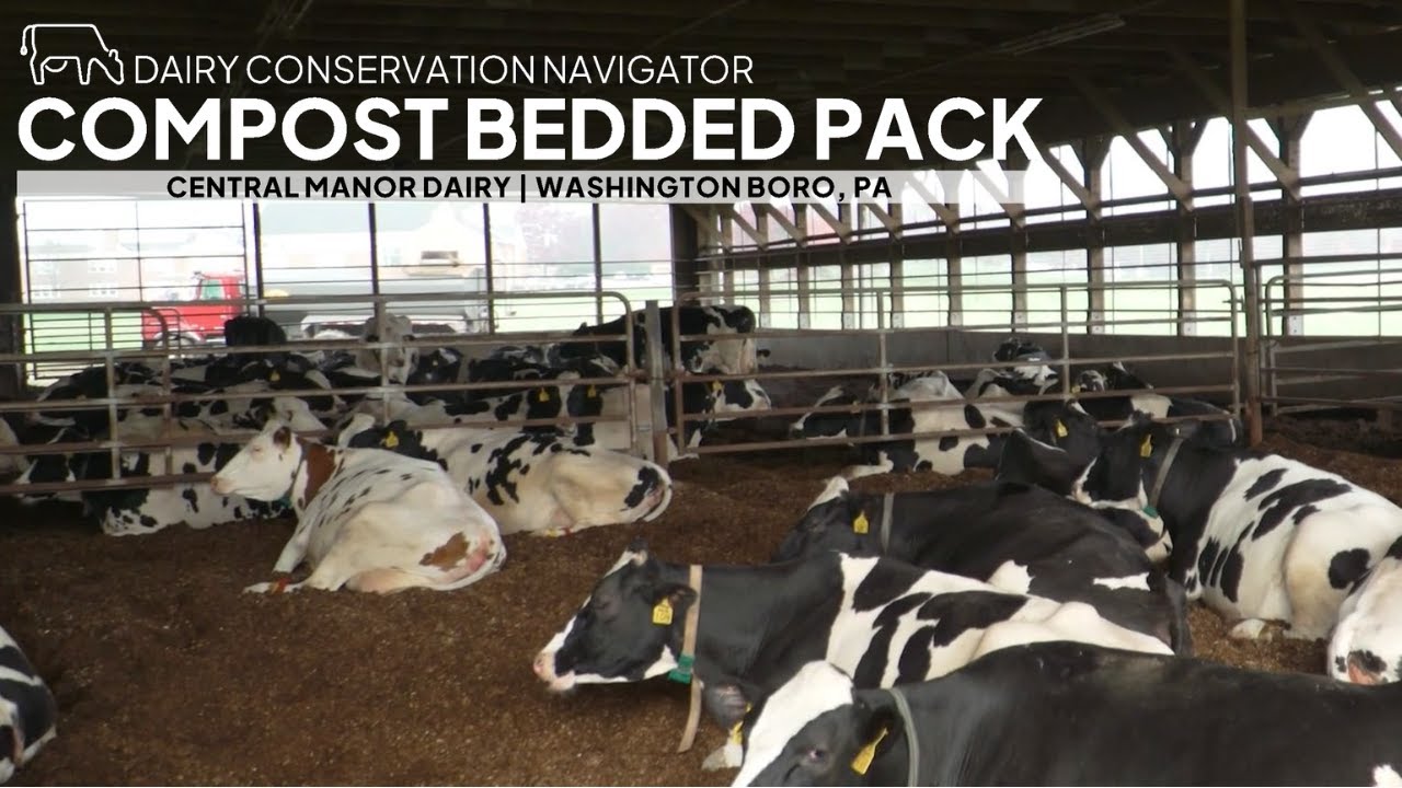 Using a Compost Bedded Pack Barn to Enable Herd Growth