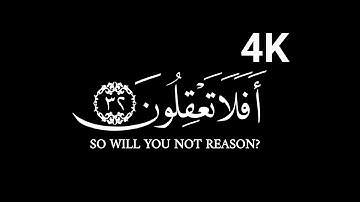 کروما شاشه سوداء قرآن كريم الخط جديد الدقة#4K#سورة_الأنعام#قرای_#شريف_مصطفى
