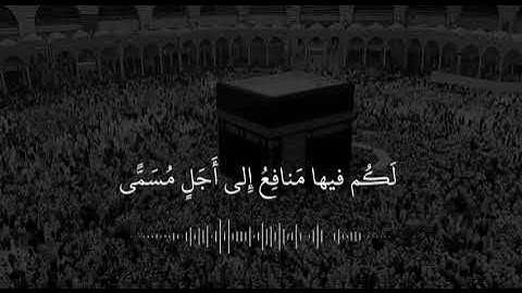 ما تيسر من سورة الحج | تلاوة الشيخ ياسر الدوسري - حفظه الله -