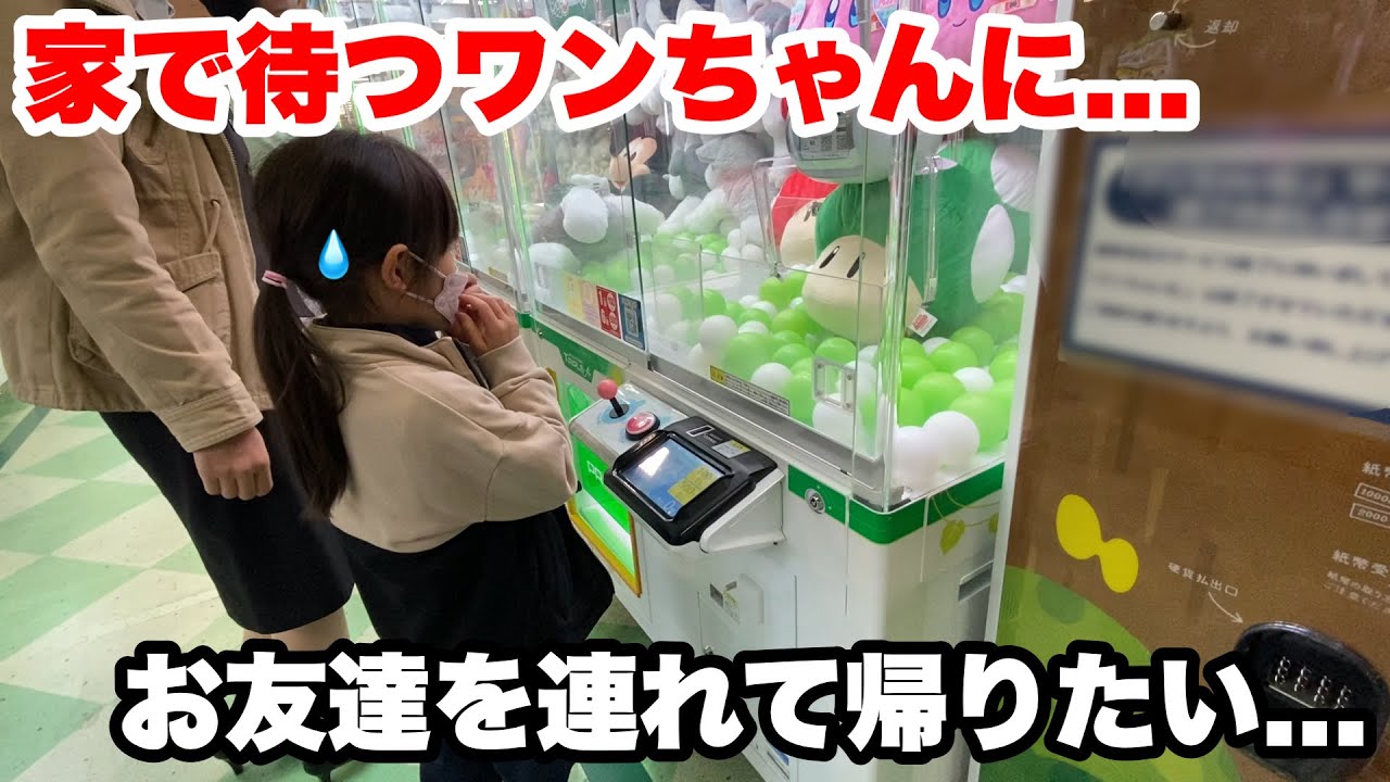 買わないでください！ 適当に出しましたクレーンゲームで取りました！ 可愛いです！ 買わないでください！ 適当に出しましたクレーンゲームで取り