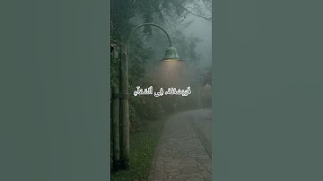 سورة الروم  ✨ Surah Rum