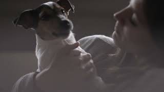 mama stereo zoetis 6S FINAL