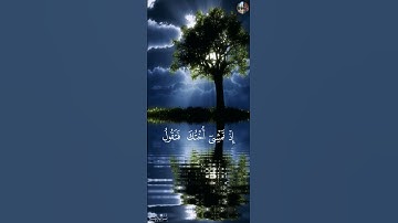 إِذۡ أَوۡحَيۡنَآ إِلَىٰٓ أُمِّكَ مَا يُوحَىٰٓ - القارئ شريف مصطفى
