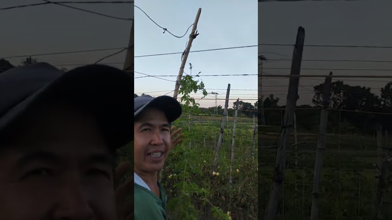 Bonito f6 magaganda padin 