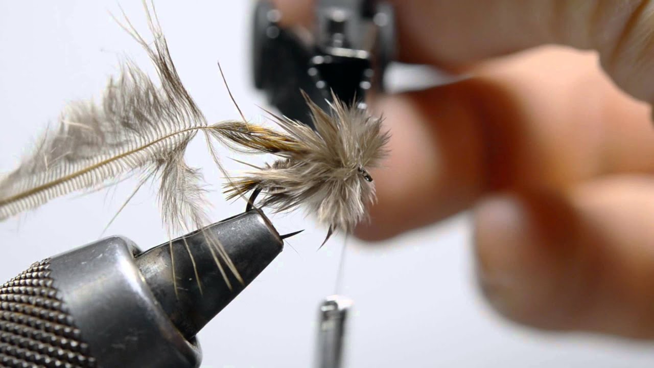 Pheasant Feather Nymph.