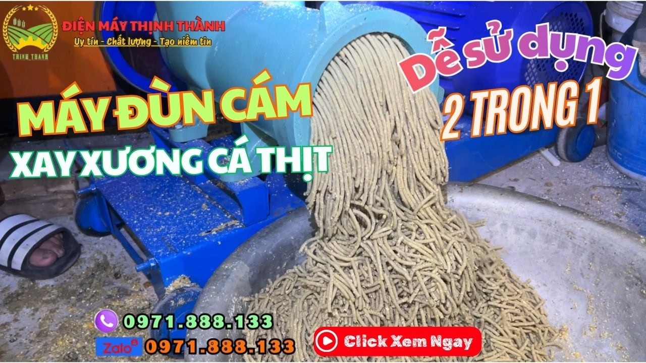 Báo Giá Chi Tiết Máy Xay Xương Thịt Đùn Cám Cối 62 Bán Chạy Nhất Tháng 2 Năm 2026