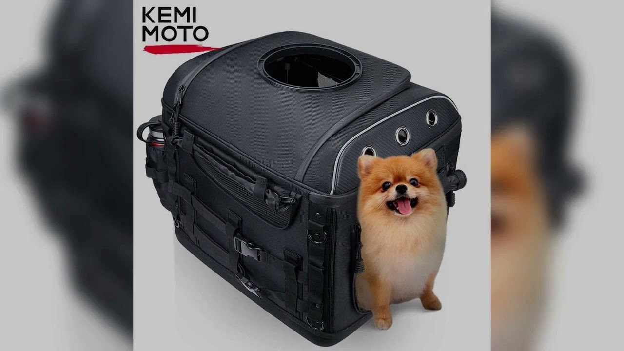 A must-have product! Motorcycle Pet Carrier Pet Dog Bag For Street Glide Road King Electra Glidewi