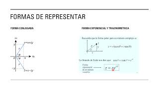 01 VARIABLE COMPLEJA