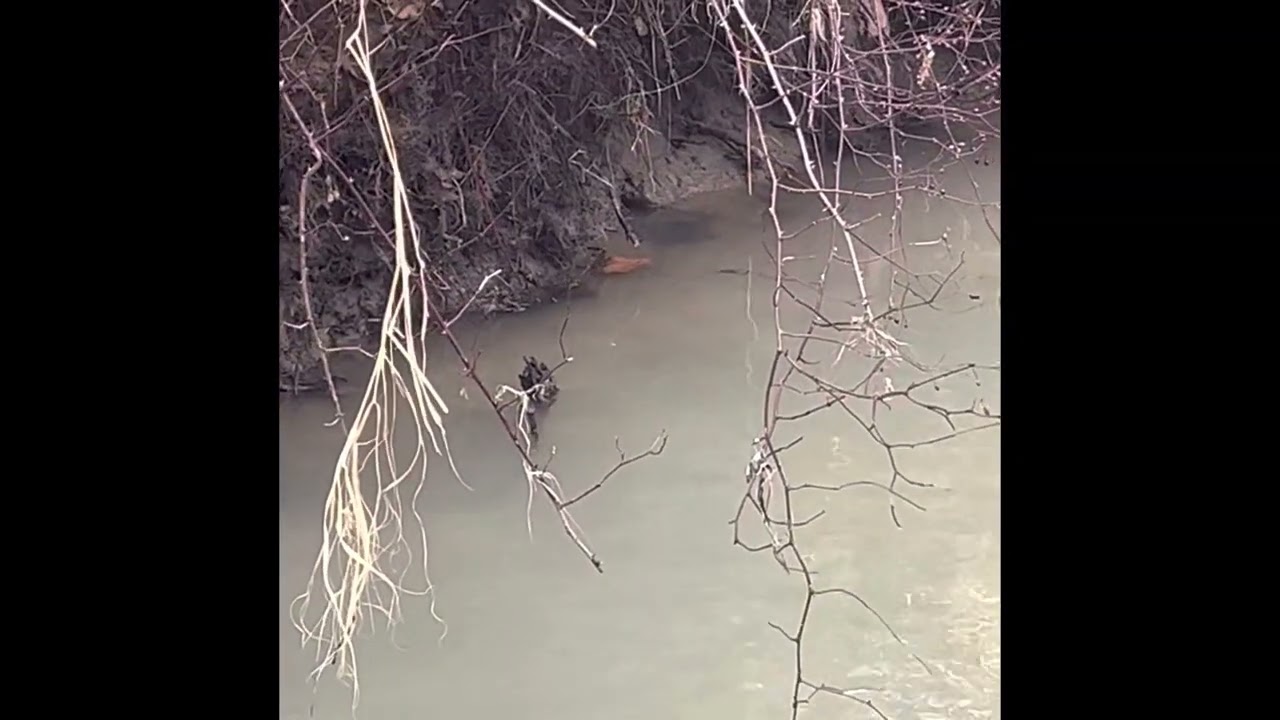 Water Trapping in PA 2022