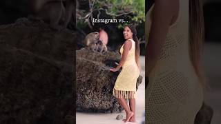 Instagram vs reality on monkey issue in Bali🐵🐒😆 #bali #monkey #reality