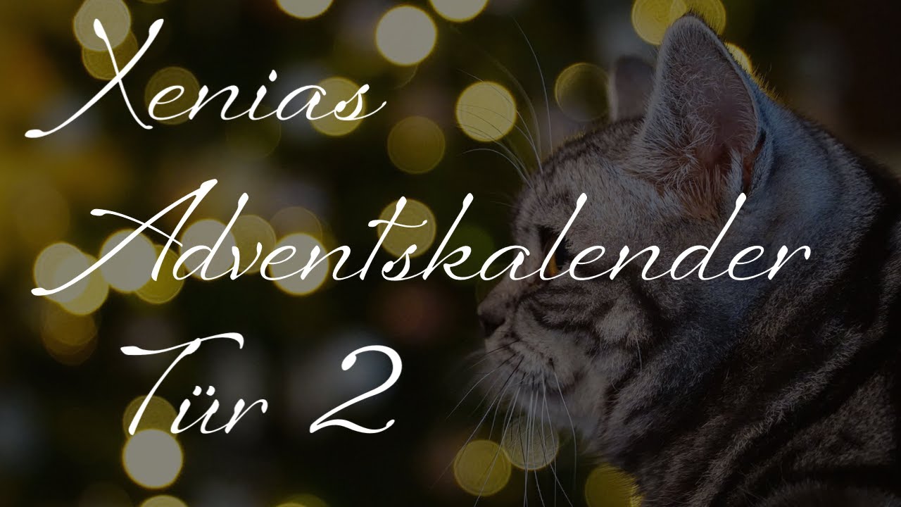 Buchtipp für Katzeneltern - Must-Have für die Wunschliste