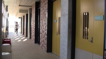 1793780 NG Assignment 2