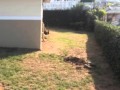 3.0 Bedroom Townhouse For Sale in Umhlanga Rocks, Umhlanga Rocks, South Africa for ZAR R 2 690 000