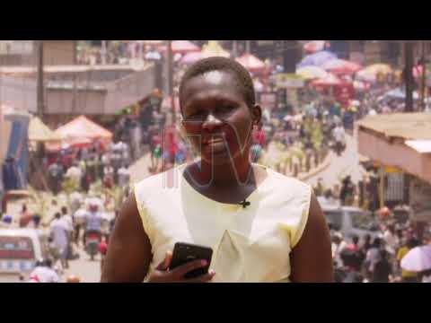NTV PANORAMA: How