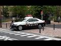 【実録】警察取締り24時LIVE：白バイ・パトカー密着取材、検挙の瞬間ノンストップ放送【警察vs交通違反者】