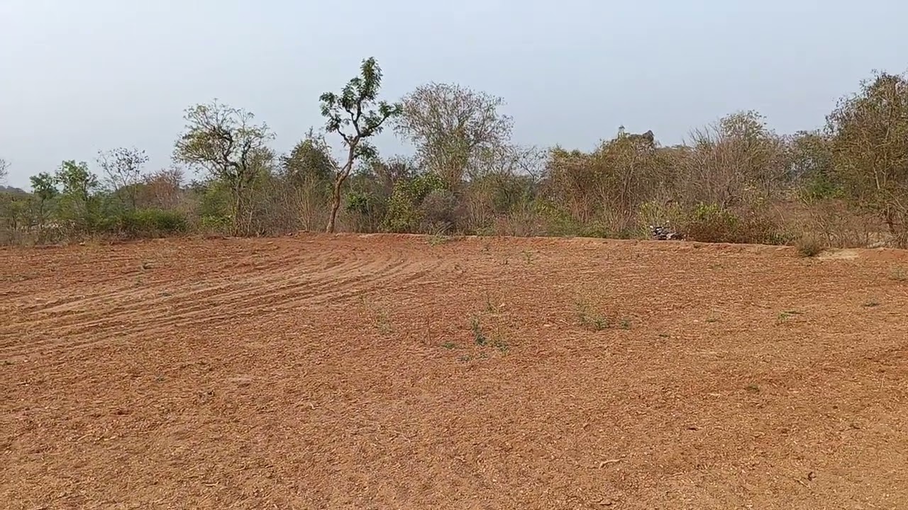 11 gunt agriculture form land for sale ph 8971607967.