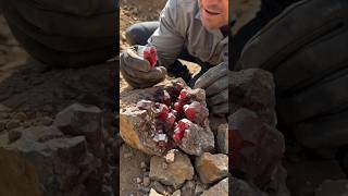 He Hit This Rock… And Found Something Unreal Inside