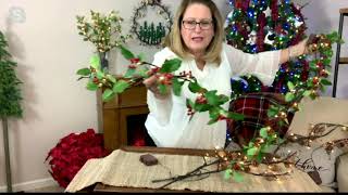 Plow & Hearth Holiday Metal Illuminated S/2 Branches or Garland on QVC