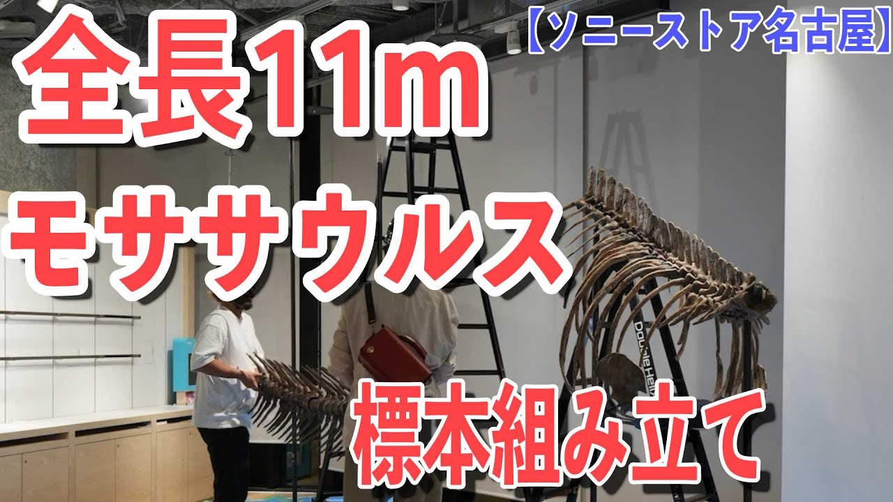動画を再生