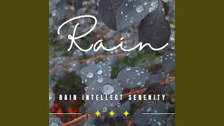 Rainfall Serenity Surroundings
