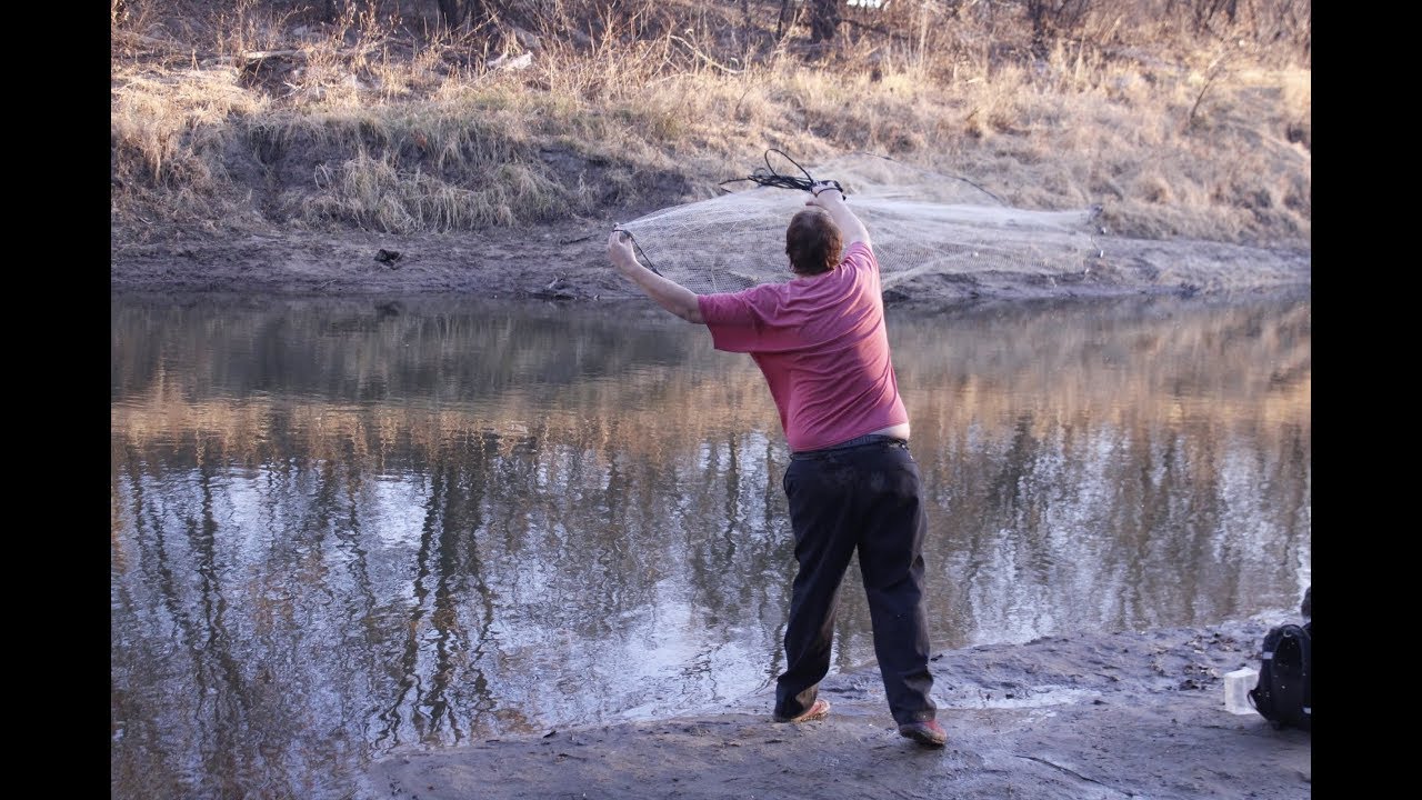 Carps and catfish Episode 3 part 2 YouTube