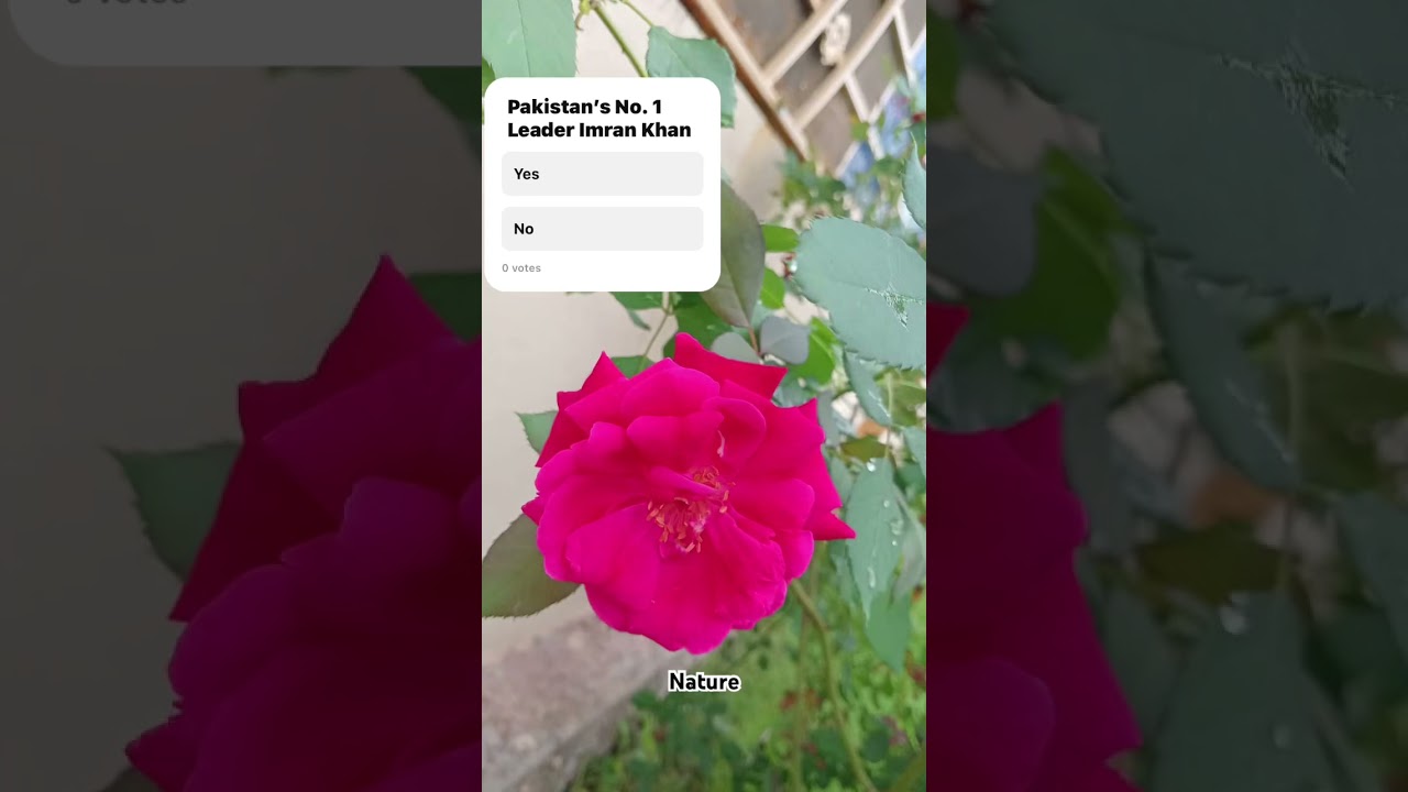 Pakistan’s No. 1 Leader 