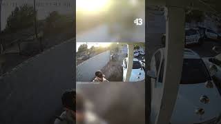 Surveillance video of area where dead dog was found near dumpster in Las Vegas