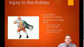 AEMT Abdominal Genitourinary Emergencies Part 2