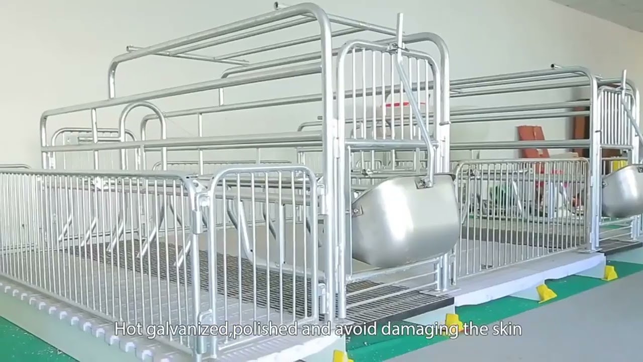 Sow gestation stall/fattening stall/positioning stall, Pig raising equipment