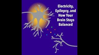 Electricity, Epilepsy, and How Your Brain Stays Balanced