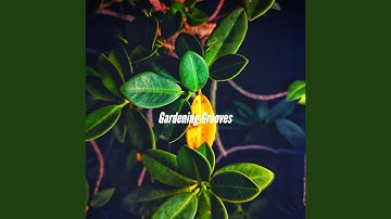 Sprightly Iced Macchiatto