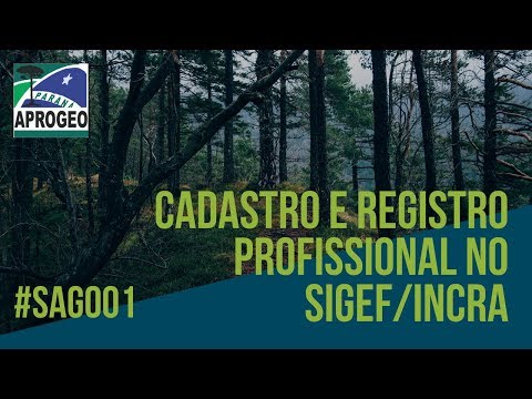 #SAG001 - CADASTRO E REGISTRO PROFISSIONAL NO SIGEF/INCRA