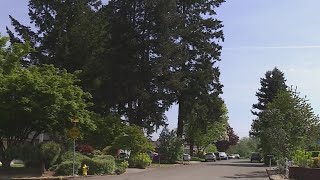 Interim Cowlitz Tribal Police Chief killed self sexually abused minor multiple times investigators