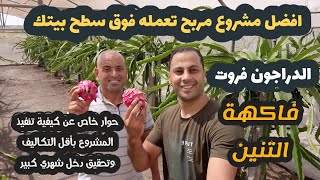 مشروع مربح جداا وغير مكلف اطلاقا فوق سطح المنزل | الدراجون فروت |profitable rooftop project