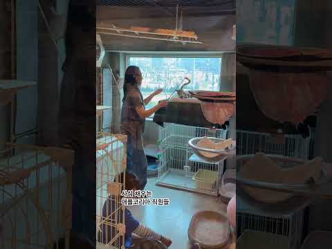 사심 채우는 애플코리아 직원들1