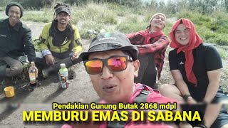Pendakian Gunung Butak 2868 mdpl : MEMBURU EMAS DI SABANA @lonewolfindonesia
