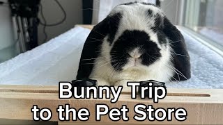 Bunnies Go to the Pet Store