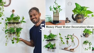 5 of My Favorite Money plants Ideas that are Both Beautiful and Refresh Your Home//GREEN PLANTS by Green plants 36,809 views 1 month ago 10 minutes, 18 seconds