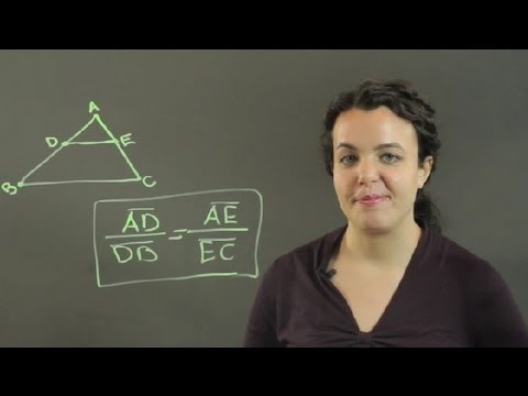 What Is the Side-Splitter Theorem? : Conversions & Other Math Tips