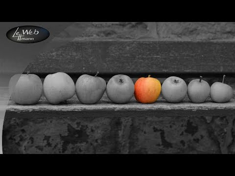 Auswahl-Werkzeuge verwenden - Bildbearbeitung - GIMP Tutorial